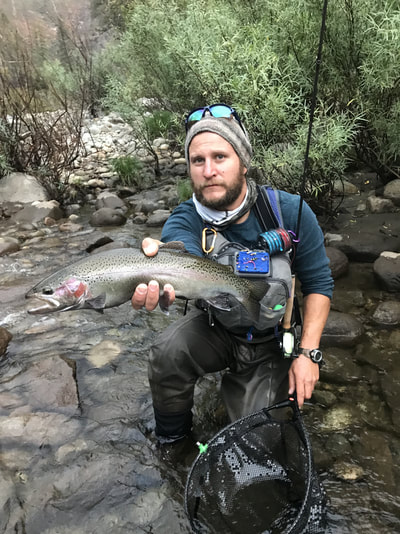 Yosemite fishing blog