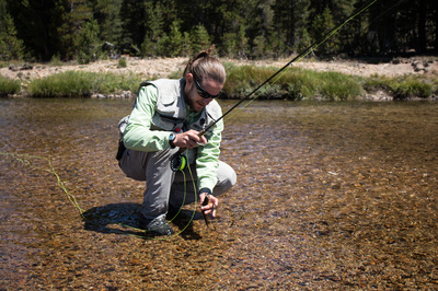 Yosemtie fly fishing blog