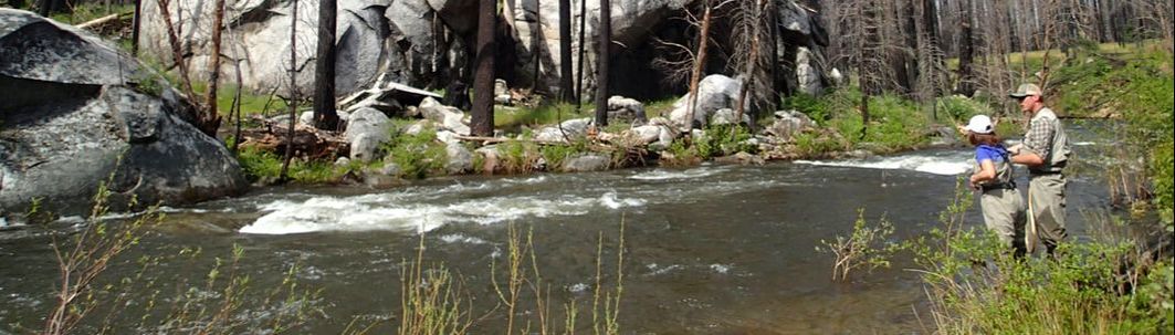 Yosemite trout fly fishing guide